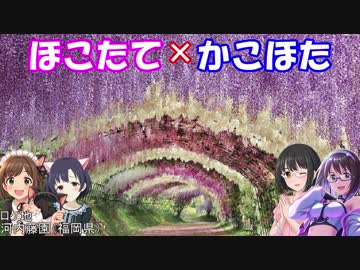 【Novelsm@ster】ほこたて×かこほた#44