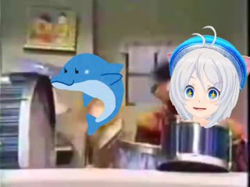 ハードイルカ