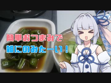 【ピーマンのめんつゆ炒め/なんちゃって冷や汁】葵ちゃんの簡単おつまみで雑にのみたーい！！