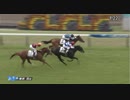 グランチェイサー　東京・2歳新馬戦　2019年6月8日