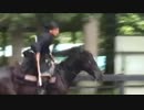 騎馬武者の馬上槍！（見た目重視！！）