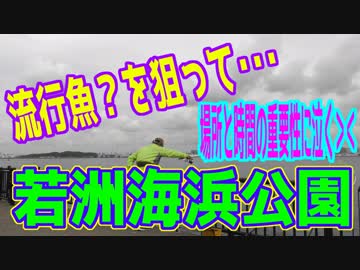 釣り動画ロマンを求めて 259釣目（若洲海浜公園）