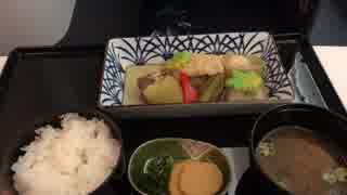 【夢ねこ世界を喰らう＃83】機内食 HND-ITM-NRT-SJC