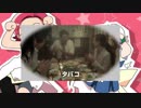 タバコ