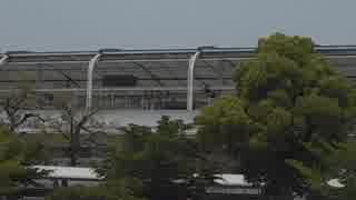 UMAJO？競馬予想「2019マーメイドS編」