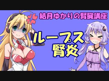 【結月ゆかり】結月ゆかりの腎臓講座 part11 ループス腎炎【弦巻マキ】