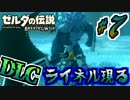 【ゼルダの伝説DLC実況】青だからって解説を始める勇者 part7