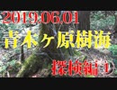 青木ヶ原樹海　探索編①　20190601