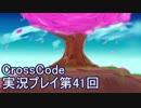 広大な世界を冒険しよう！　CrossCode実況プレイpart41