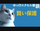 074 シートとブックの保護 ゆっくりオフィス雑談（EXCEL）
