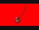 さくらんぼ