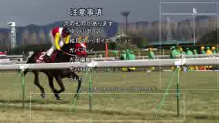ウイニングポスト９を何も考えずにプレイ part15