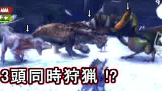 【MH3】大型モンスターが3頭同時に出現する現象（ゆっくり実況）