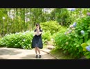 紫陽花が咲く頃に、君と恋をする 踊ってみた【のりこ】