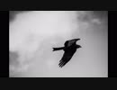 【VY1V4】君を忘れるわけない【ボカロオリジナル】ますP from　BarleyTea