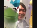 The Rainbow Connection