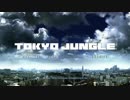 【プレイ動画（４倍速）】東京ジャングル・ねこのおしごと
