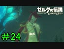 【実況】見落としが多い勇者の冒険part24【ブレスオブザワイルド】