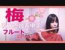 【フルート flute】梅／私立恵比寿中学(歌詞付き)演奏してみた【フルカバー myon】