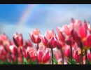 [BGM] Pray / Every Little Thing (VER:GL 歌詞：あり /offvocal)