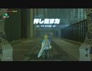 【ゼル伝BotW】100年の眠りから目覚めた勇者の冒険７９【もちまる】