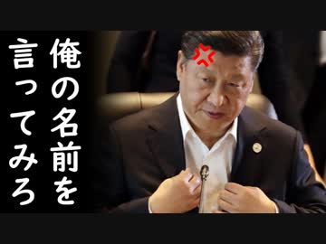 韓国が日米中朝から報復を宣言され四面楚歌に陥る中、習近平国家主席が自ら朝鮮人の躾方のお手本を見せてくれるそうで胸熱ｗ