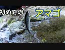 #11 生まれて初めて渓流で釣ったアマゴ 前編【渓流ルアー】