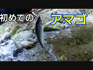 #11 生まれて初めて渓流で釣ったアマゴ 前編【渓流ルアー】