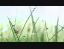 【初音ミク】Brand New Day【オリジナル】