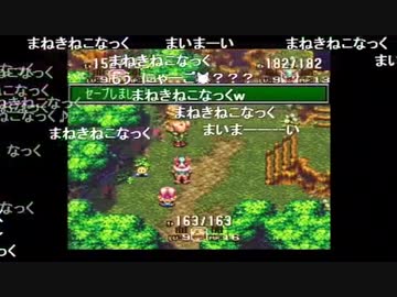 まゆだぬき まねきねこなっく