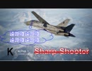 Ace Combat 7 Multiplayer132  バトルロイヤル  F-14D + LAAM
