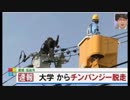 しゃｋ詰め合わせ