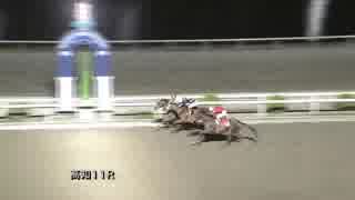 2019年6月9日高知競馬11R ＪＢＣ協会協賛高知佐賀スタリオンシリーズ トーセンジョーダン賞(準重賞) パーソナルマキ