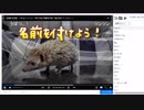 ハリ活.vol 37. ~名前 決まったよ！~