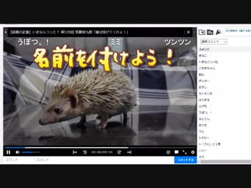ハリ活.vol 37. ~名前 決まったよ！~