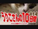 うりこさんの10日間 - 2019#14