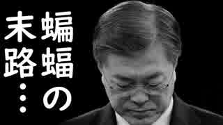 韓国が米国と中国の双方から制裁される事に今頃気が付き、トランプ大統領と習近平に泣き言を垂れ流すが時既にお寿司ｗ