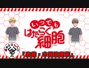 働かない人の細胞　「いつでもはたらく細胞」　16日目