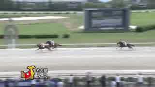 2019年6月11日名古屋競馬7R 第４５代バズーカ賞 スーパー新馬戦 エムエスオープン