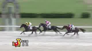 2019年6月11日名古屋競馬8R 第４６代カツゲキキトキト賞 スーパー新馬戦 ユーセイシューター