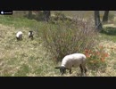 さとうささらと赤城山観光