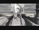 DMC4SE test