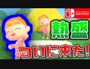Switch版™どうぶつの森が発売決定!! なら旧作をやろうじゃねぇ～か。 【歓喜】