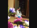 【コスプレ】刀語の七花ととがめで番凩好き勝手に踊ってみた