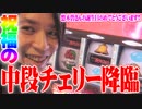 ｙｔｒがまどかの中の人を祝いに行った結果【SEVEN'S TV #202】