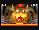 【エンディングコレクション】Newスーパーマリオブラザーズ２
