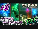 【ゼルダの伝説DLC実況】電話どころか口笛で直ぐにくるセイソビッチ part9