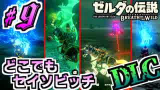 【ゼルダの伝説DLC実況】電話どころか口笛で直ぐにくるセイソビッチ part9