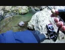 #12 生まれて初めて渓流で釣ったアマゴ 後編【渓流ルアー】