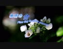 梅雨の合間に